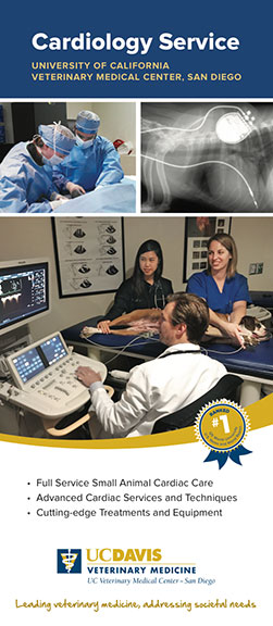 Download our Cardiology Brochure (pdf)