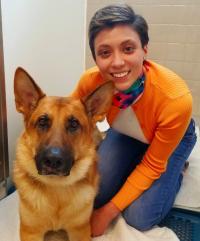 uc davis pet hospital san diego